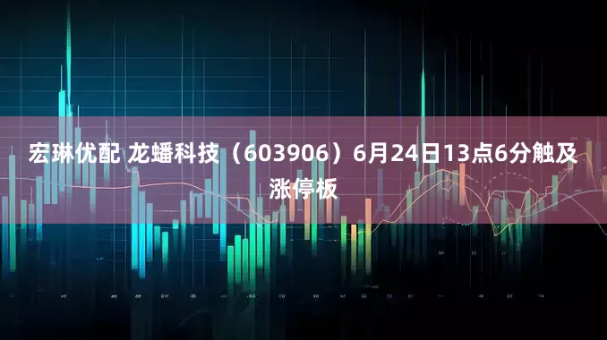 宏琳优配 龙蟠科技（603906）6月24日13点6分触及涨停板