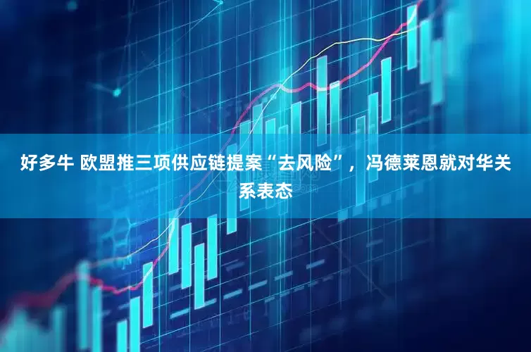 好多牛 欧盟推三项供应链提案“去风险”，冯德莱恩就对华关系表态