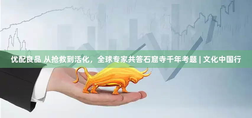 优配良品 从抢救到活化，全球专家共答石窟寺千年考题 | 文化中国行